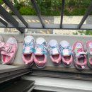 손세탁 운동화 이미지