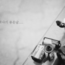 오십미리 이미지