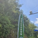 고란길(길안면) 이미지