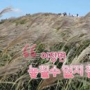 새별오름 이미지