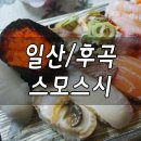 스모스시 이미지