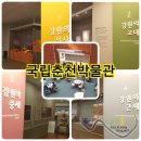 남강원 | [볼거리] 강원 춘천시 강원도의 역사와 문화유산 '국립춘천박물관'