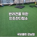 잔디소독 | 반려견 애견 호텔 인조잔디청소 후기 배변으로 오염된 곳을 깨끗하게 세척해드렸습니다.