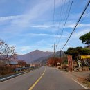 유학골 청계 청란 | 조계산 - 선암사 환종주