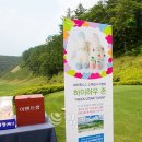 하우존 이미지