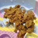 홍천 개아빠 이미지