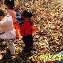 자연숲 유치원 이미지