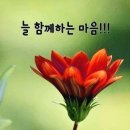 💘항복이란~~~~ 이미지