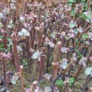 모동모동 이미지