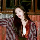 나인컨셉 이미지