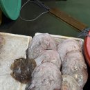 울림수산 - 함평군 해보면 | 울림수산