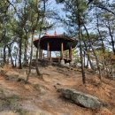 경명군묘 | 대구 달성군 다사읍 마천산 죽곡산 강정보 20211211 토