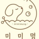 미미애견 이미지