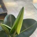 교동면옥 안동옥동점 이미지