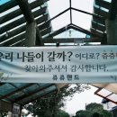 쥬쥬랜드 네이버블로그
