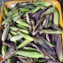 은옥농장 이미지