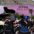 봄음악회 이미지