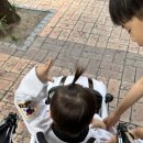 정무합기도 이미지