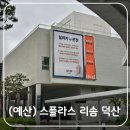 예산 사계절 온천 숙소 스플라스 리솜 덕산 리조트 숙박 후기