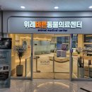 더바른 동물병원 이미지