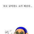 보누 Daum카페
