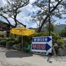 소대식당 | [경기/의왕] 의왕 맛집 의왕 정육식당 선일목장 정육식당 솔직후기