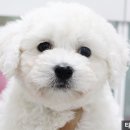 타잔동물병원 이미지