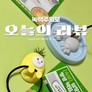 녹색환경노동조합 | 틸란드시아 이오난사 인테리어 제격인 녹색주의보 오브제 후기