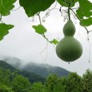 산호대로35길 이미지