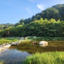 토도수산 | [강릉] 강릉 2박 3일