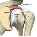 광주주사랑의원 이미지