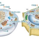 미래인력 - 논산시 중앙로480번길 27-1 | 미래인력