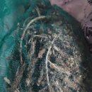 인산초등학교 이미지