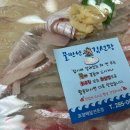물만난김선장