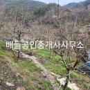 선유리공인중개사사무소 이미지