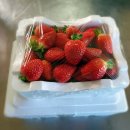 당진제일주유소 이미지