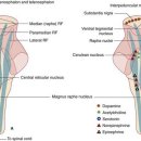생명의 그물 2 이미지