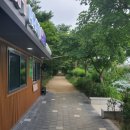 아이지에이마트 | 구로 안양천 수변감성 피크닉 매점 위치 및 이용후기 (구로피크닉가든, 안양천 물놀이장 IGA마트 벚꽃점)