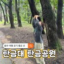탄금대로 | 충주 여행 걷기 좋은 곳 탄금대 탄금공원