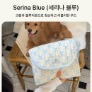 러블리퍼피 | [디얼퍼피] 강아지 산책 필수템 디얼퍼피 산책매트 추천