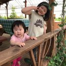 영선농장 이미지