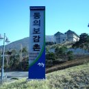 허준약초골 이미지