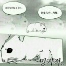 릴라와인 이미지