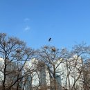 백로서식지 이미지