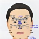 프랙탈원리=＞같은 에너지장 원리 이미지