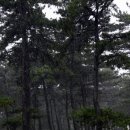 송계솔밭 화장실 이미지