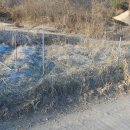 문현농장 이미지