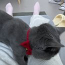 그루머스 스튜디오 이미지