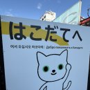 안주 타이어보다 싸다 | 11/2-6 혼자하코다테여행 3일차. 어서오십시오. 많이드십시오 하코다테. 고료카쿠 야경을 보셨나요..?