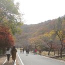 성주산 자연휴양림 대형주차장 이미지